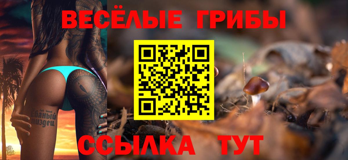 Галлюциногенные грибы мухоморы Новочеркасск