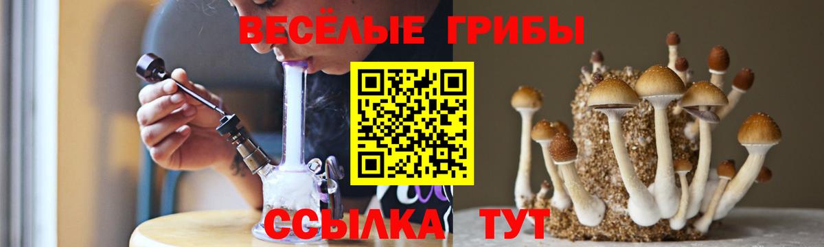 Новочеркасск  Псилоцибиновые грибы GOLDEN TEACHER  Псилоцибиновые грибы GOLDEN TEACHER  Вход с VPN 
